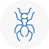 Ant Removals In Ulverston