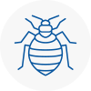 Bed Bug Extermination In Ulverston