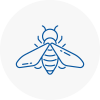 Bee Nest Removal Ulverston