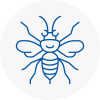 Ulverston Hornet Nest Removals
