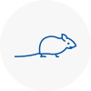 Mice Exterminators In Ulverston