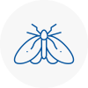 Moth Control Specialists In Ulverston