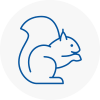 Ulverston Rodent Removals